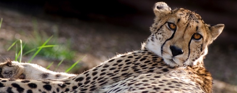 A Promise to Our Passengers